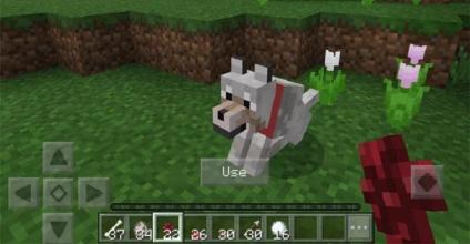 My Wild Dog Mod for MCPE截图2