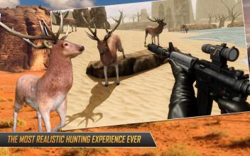 Deer Hunting  Wild Animal Sniper Hunter截图4