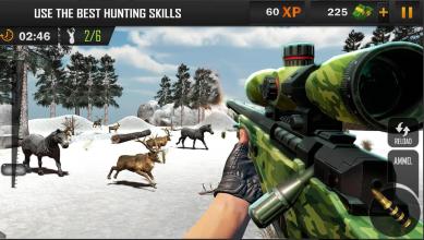 Forest Hunter  3D Sniper截图3