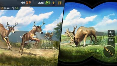 Forest Hunter  3D Sniper截图4