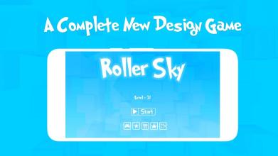 Roller Sky  Balancing Ball截图4