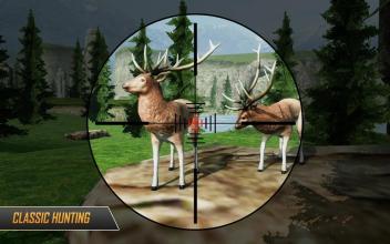 Deer Hunting  Wild Animal Sniper Hunter截图5
