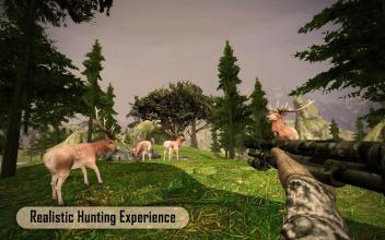 Deer Target Shooting Safari Hunting截图5