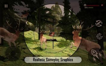 Deer Target Shooting Safari Hunting截图3