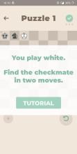 Mate King  Chess Puzzles截图4