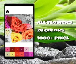 Coloring Flowers Pixel Art Game截图1