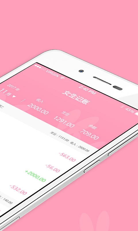 女生記賬截圖預(yù)覽