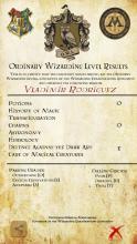 Hogwarts OWL Exams截图2