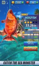 Real Fishing Mania 2019   Excite BigFishing截图2