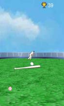 Hit The Ball  Baseball Battery截图1