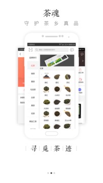 大茶肆截圖