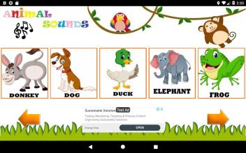 Learn Animal Sounds for Kids截图4