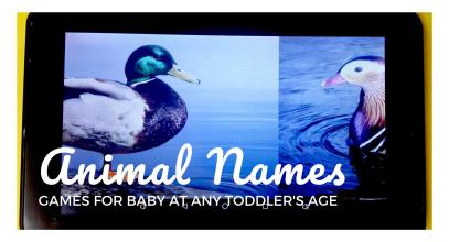 Animal Names for Baby & Toddler Learning Games截图1