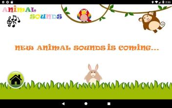 Learn Animal Sounds for Kids截图1