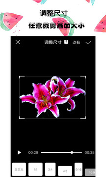 接招小視頻剪輯截圖