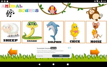 Learn Animal Sounds for Kids截图2