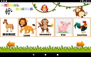 Learn Animal Sounds for Kids截图3