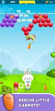 Bunny Bubble Pop Bubble Shooter截图4