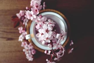 Alluring Spring Jigsaw Puzzles截图3