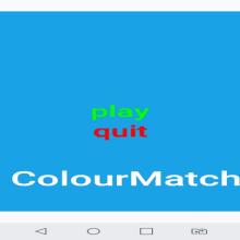 Colour Matching Pair截图3