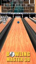 Bowling Master 3D截图2