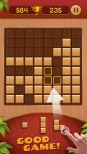 Block PuzzleWooden Block截图5