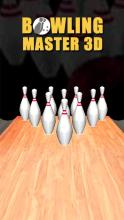 Bowling Master 3D截图1