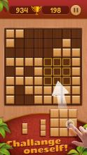 Block PuzzleWooden Block截图4