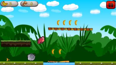 Super Kong Jump  Banana Donkey Monkey Jump截图4