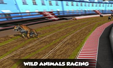 Crazy Real Dog Race Greyhound Racing Game截图1