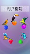 Poly Blast  Art Puzzle Game截图5