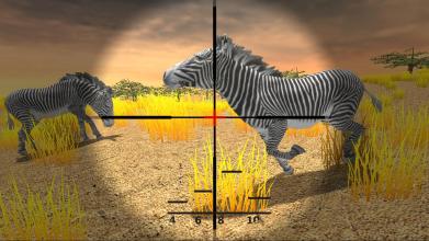 Safari Hunting  Shooting Game截图3