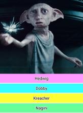 WHO IS THIS Harry Potter Characters Quiz截图1