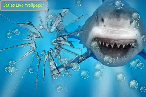 憤怒的鯊魚裂縫屏幕截图3