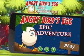 Angry Bird's Egg Epic Adventure截图2