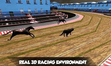 Crazy Real Dog Race Greyhound Racing Game截图4