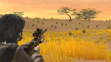 Safari Hunting  Shooting Game截图4