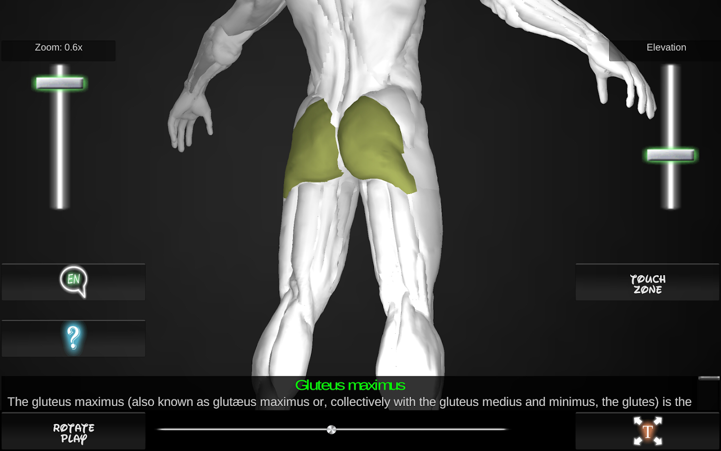 Muscles 3D截图4