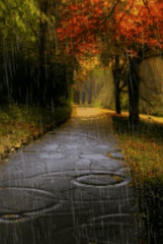 Rain In Autumn Live Wallpaper截图2