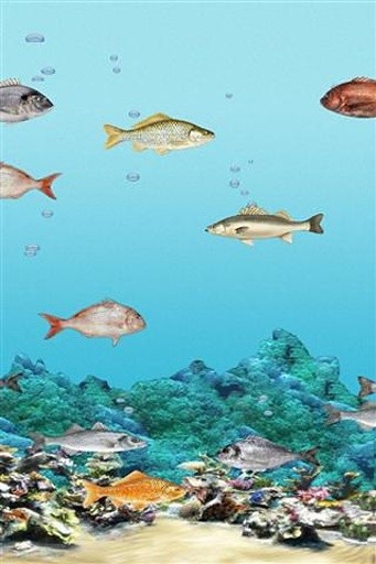 Abubu Ocean Wallpaper截图1