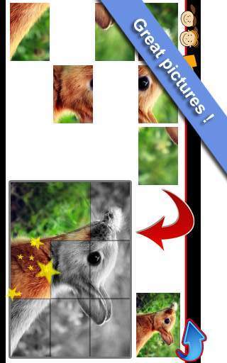 Animal Puzzles 4截图2