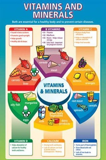 Vitamins and Minerals Guide截图2