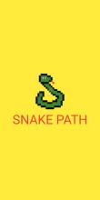 Snake Path截图4