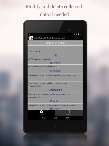 Crane Inspection App截图5
