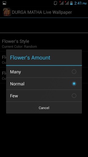 Durga Mata Live Wallpaper截图5