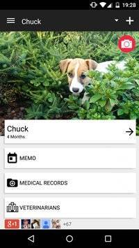 Dog Health截图1