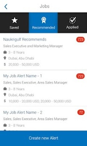 Naukrigulf Jobs in Dubai, Gulf截图7