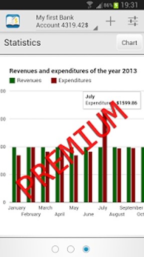 The Budget Book截图3