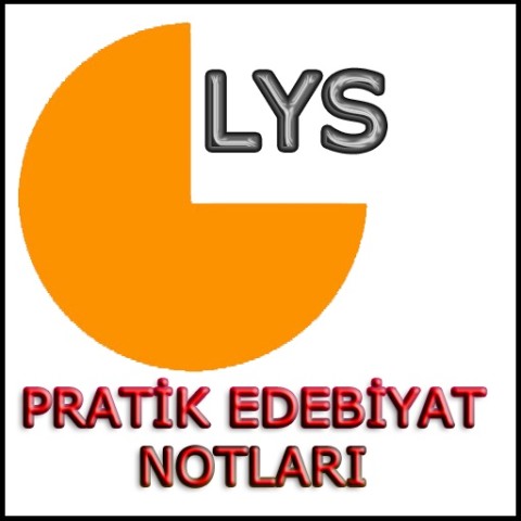 文学票据实践 LYS Pratik Edebiyat Notlar截图2