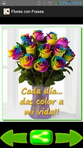 Flores con Frases截图2